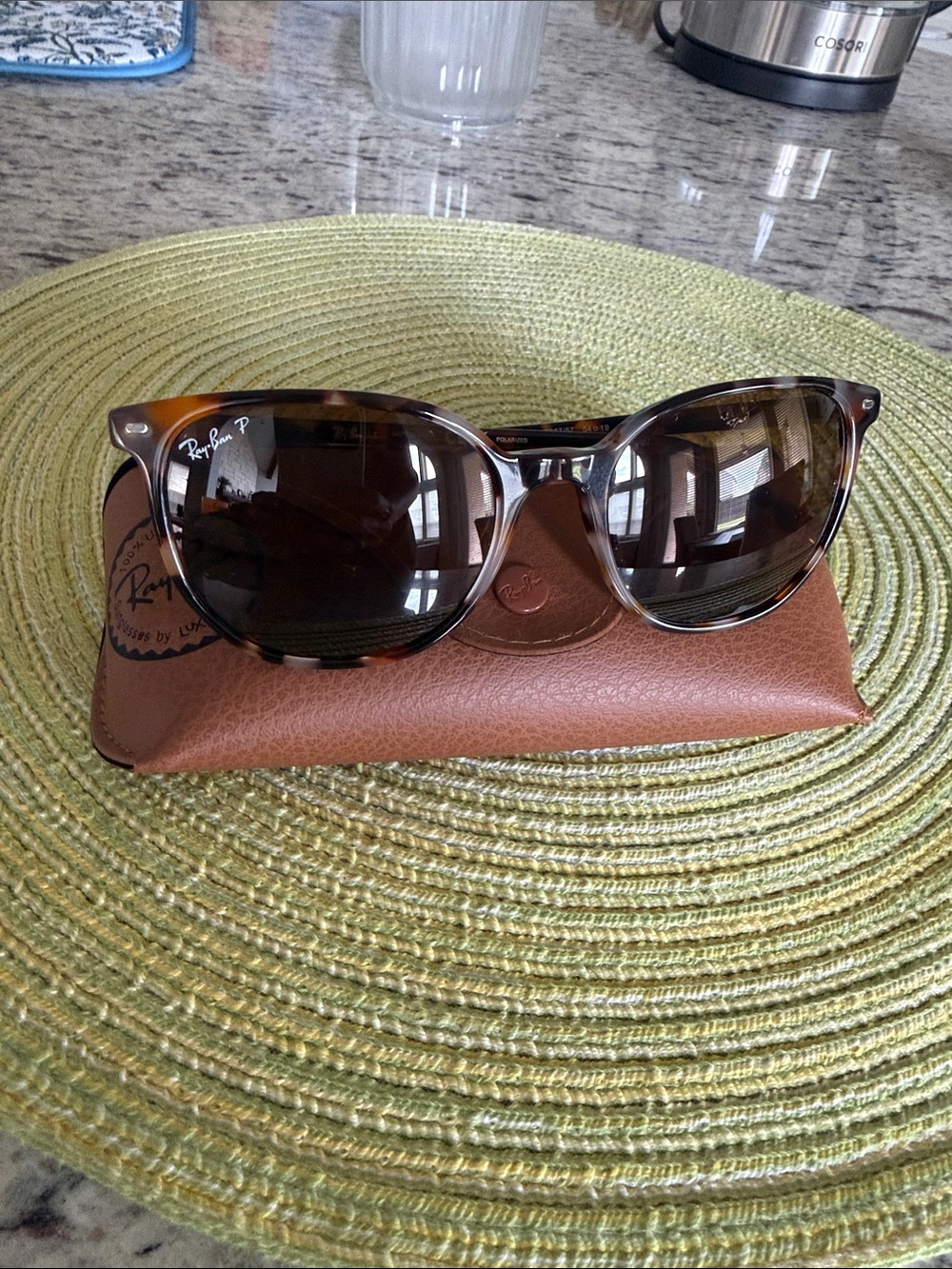 Ray-Ban Polarized Elliot Sunglasses